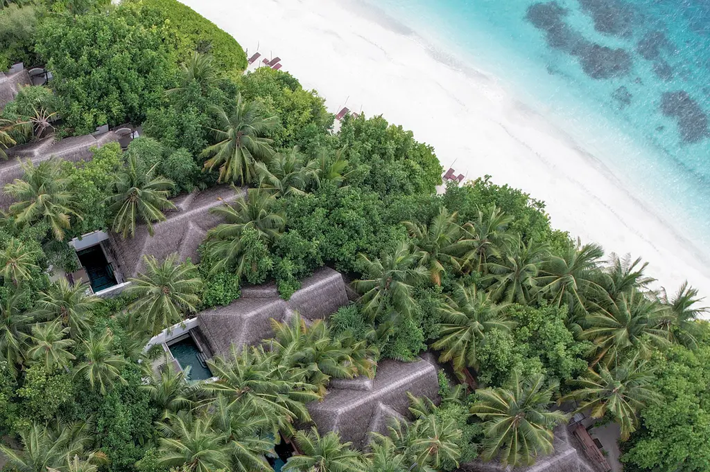 Coco Bodu Hithi image 19