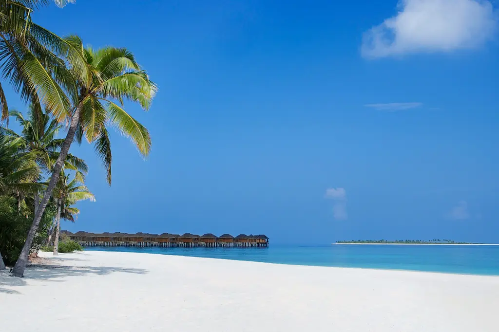 JA Manafaru image 6