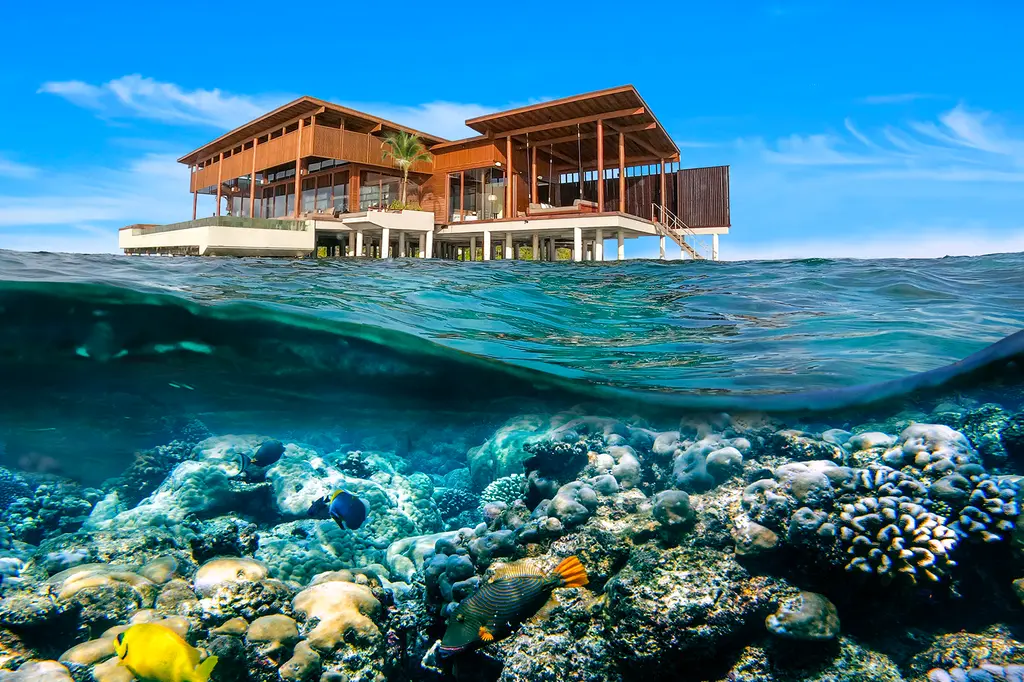 Park Hyatt Maldives Hadahaa image 17