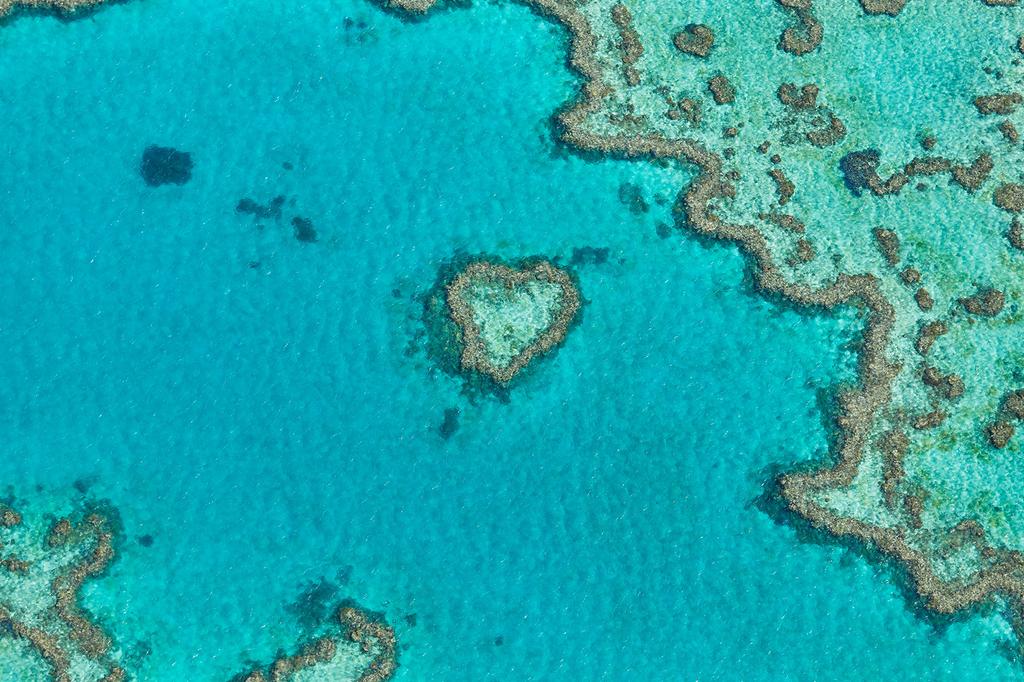 Reef View Hotel image 10