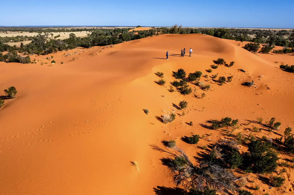 Toogunna Plains Farmstay image 1