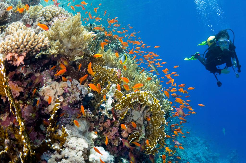 Yasawa Island Resort & Spa image 8