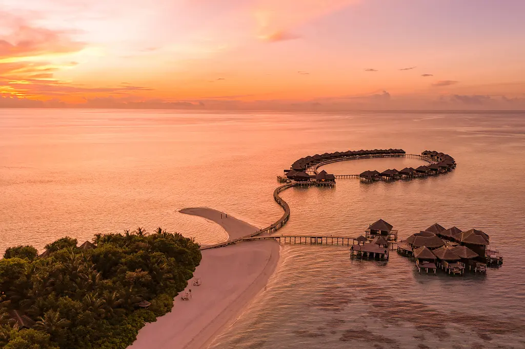 Coco Bodu Hithi image 7