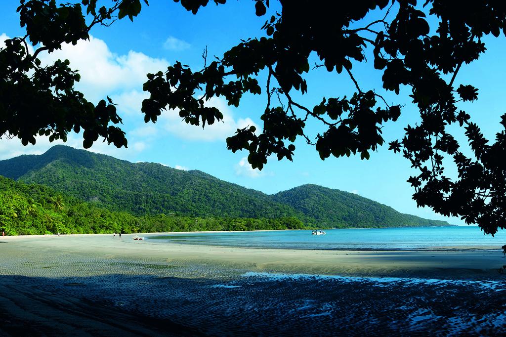 mist at Cape Tribulation image 4
