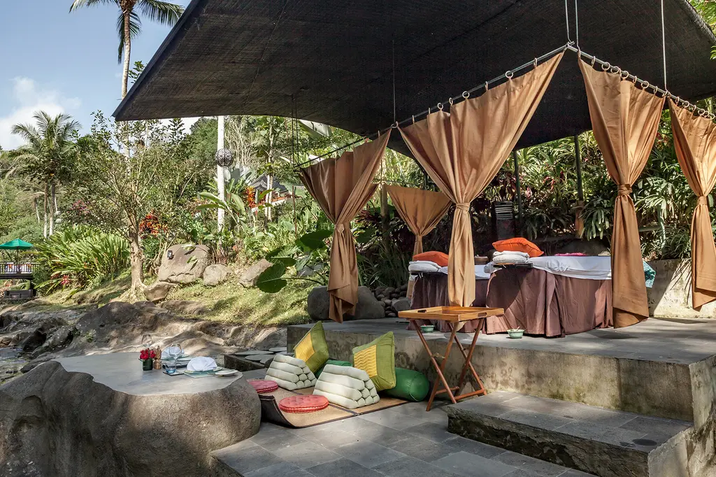 The Samaya Ubud Bali image 13