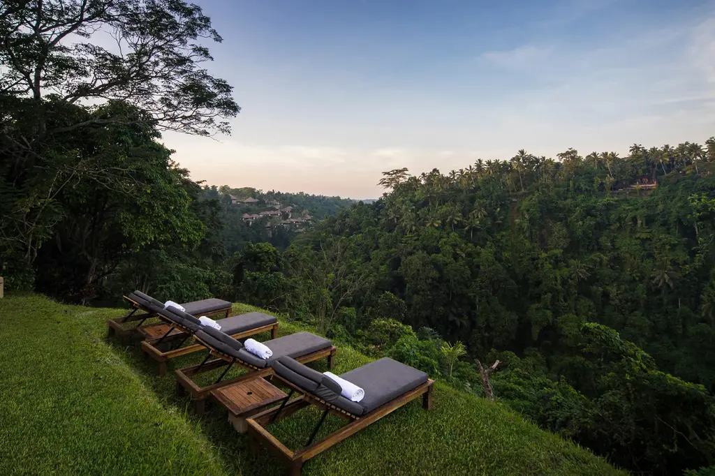 Alila Ubud  image 15