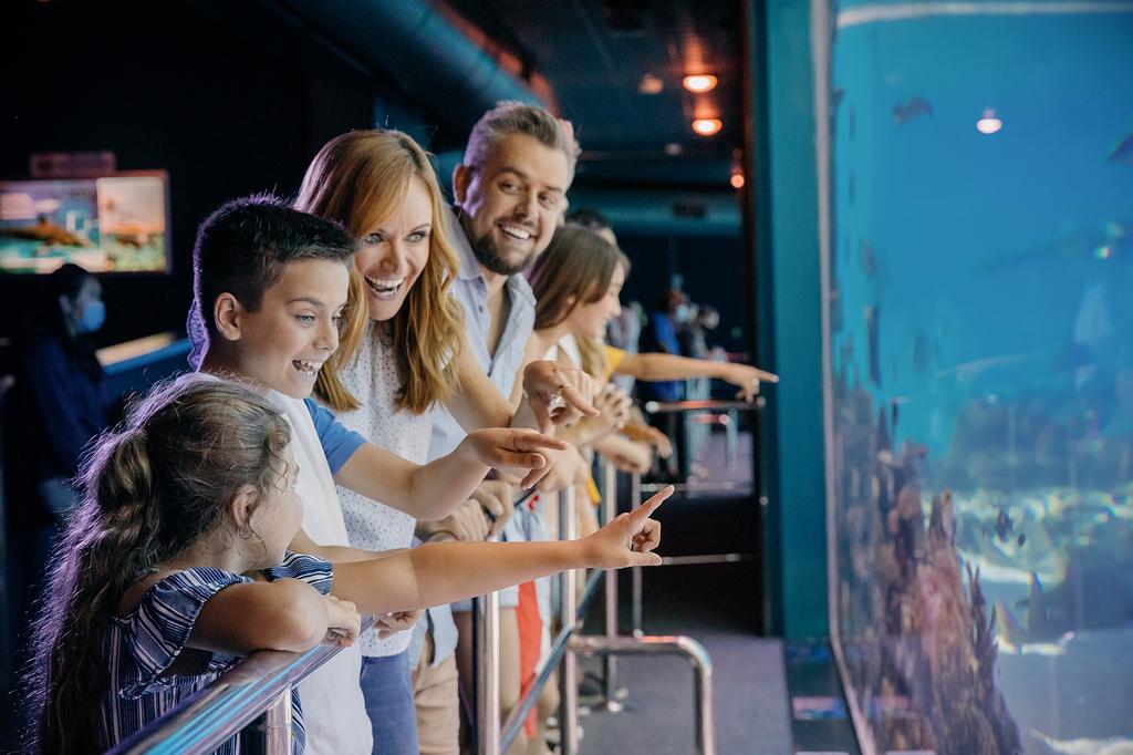 Sea World Resort image 6