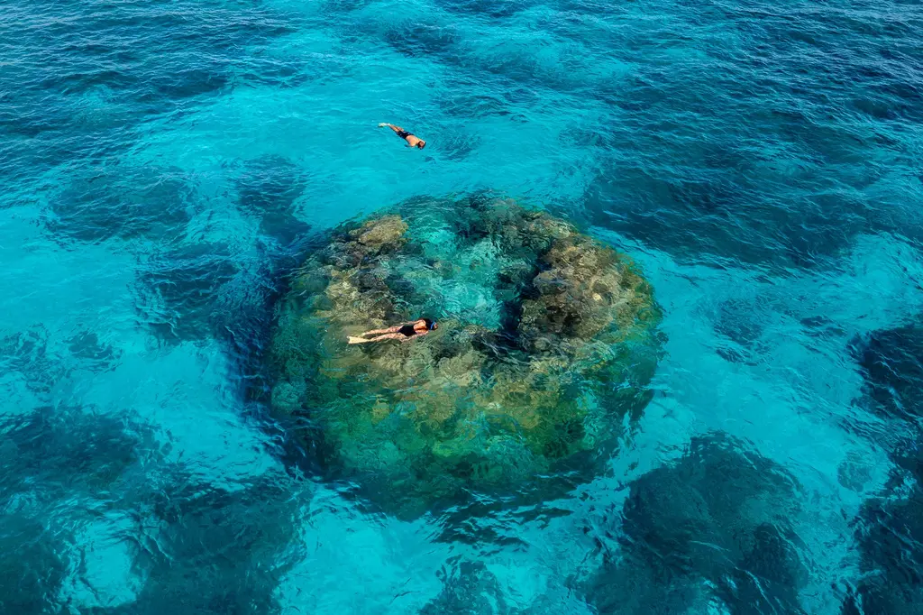 Wilson Island image 2