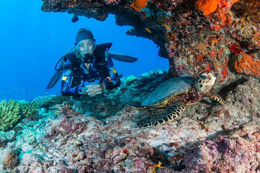 Eri Maldives image 10