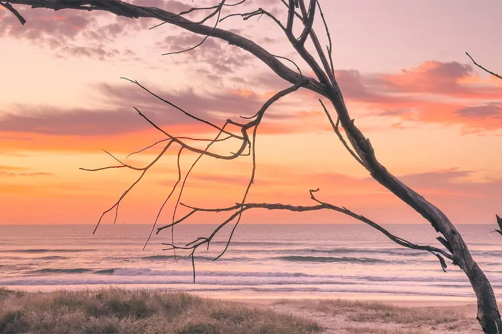 Essence Peregian Beach – Boutique Hotel & Holiday Homes image 8