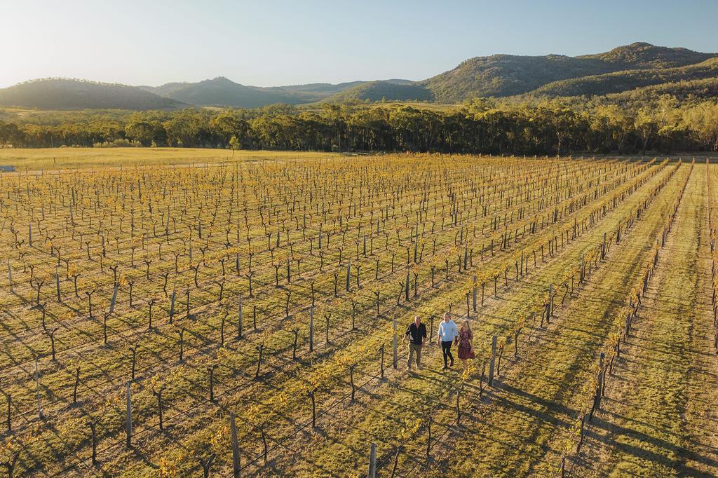 Barrel View Luxury Cabins image 12