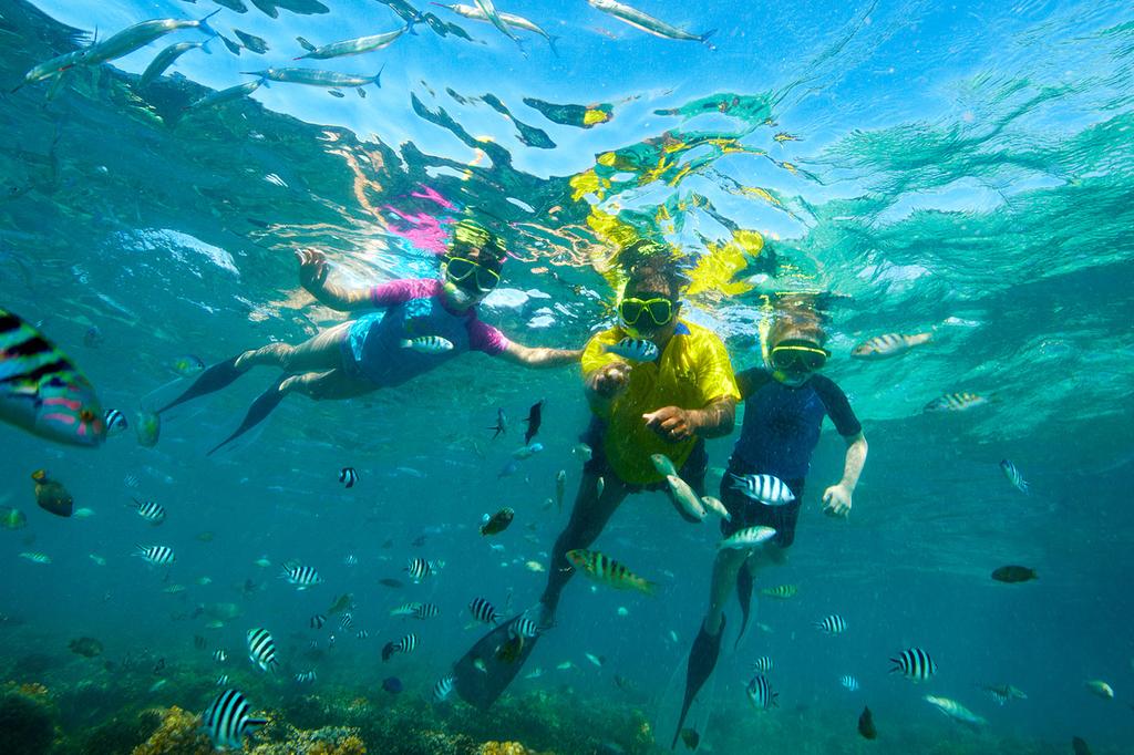 Plantation Island Resort image 8