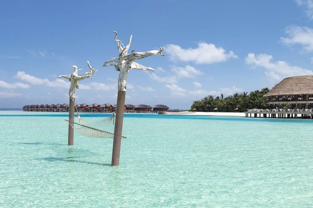 Anantara Dhigu Maldives Resort image 19