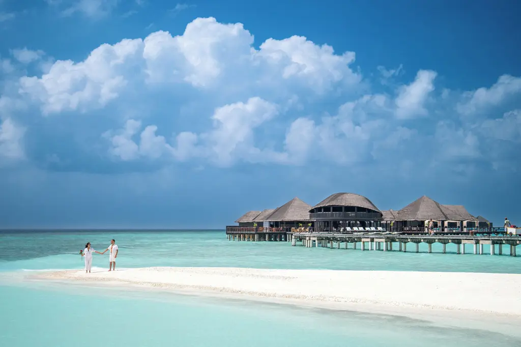 Coco Bodu Hithi image 9