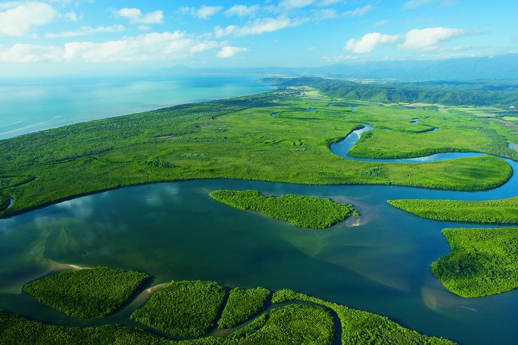 mist at Cape Tribulation image 14
