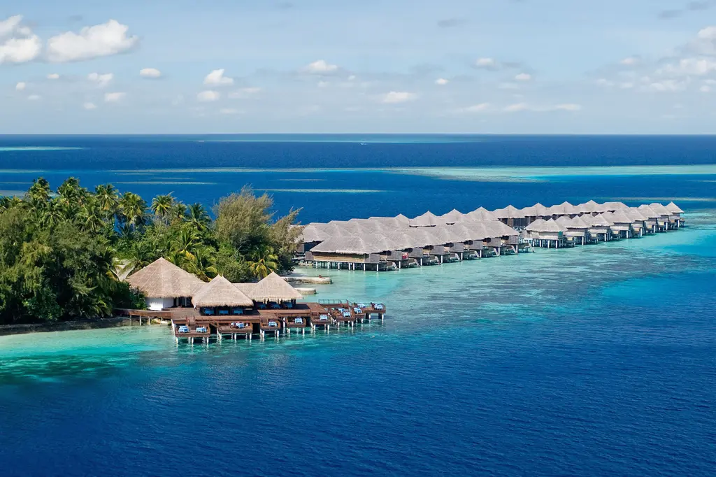 Coco Bodu Hithi image 2