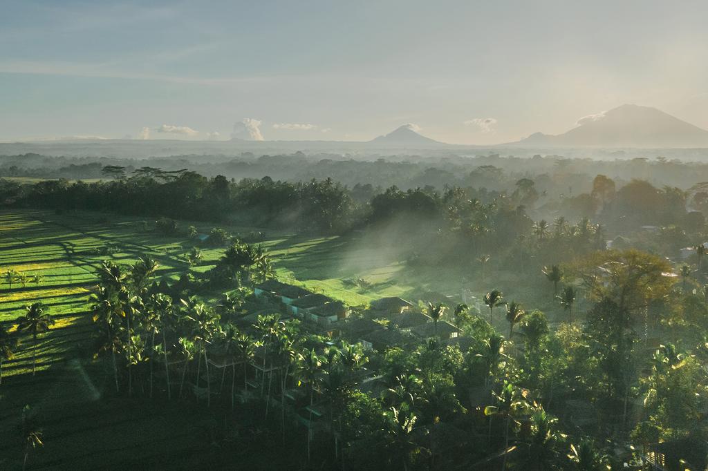 Kappa Senses Ubud image 2