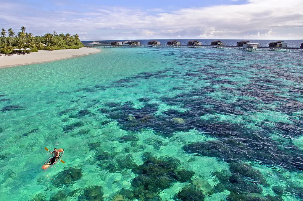 Park Hyatt Maldives Hadahaa image 19
