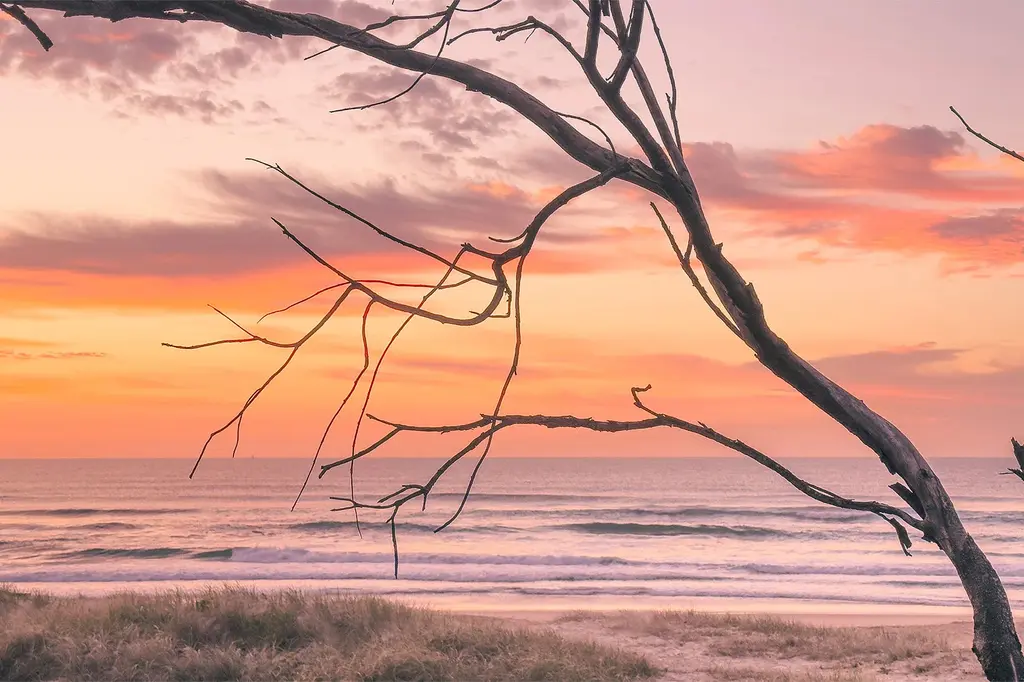 Essence Peregian Beach – Boutique Hotel & Holiday Homes image 8