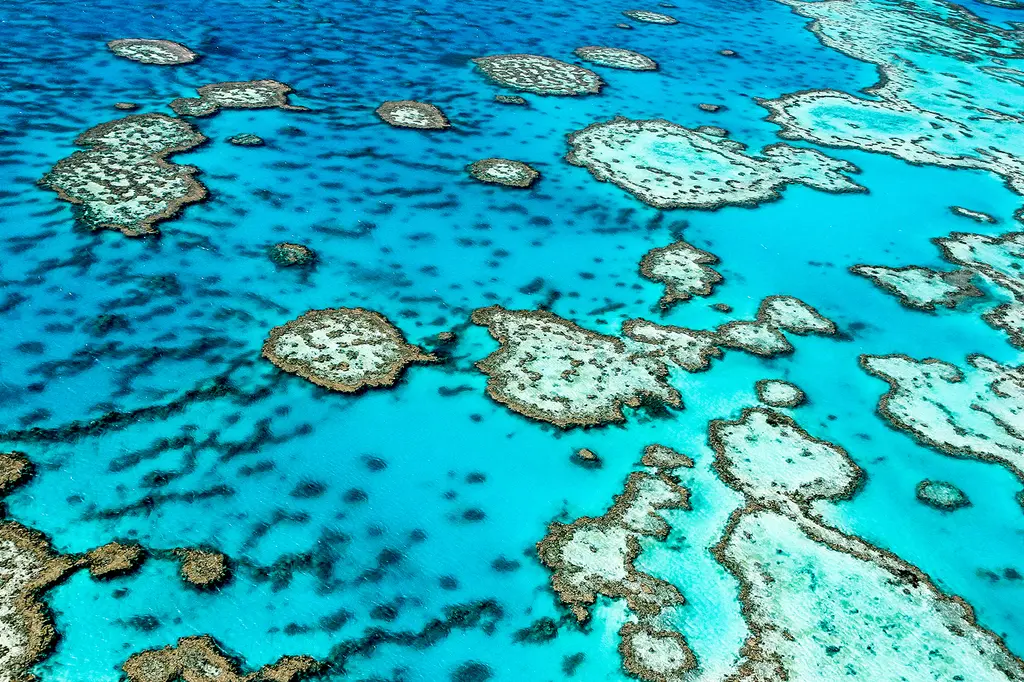 Mantra Amphora Resort image 11