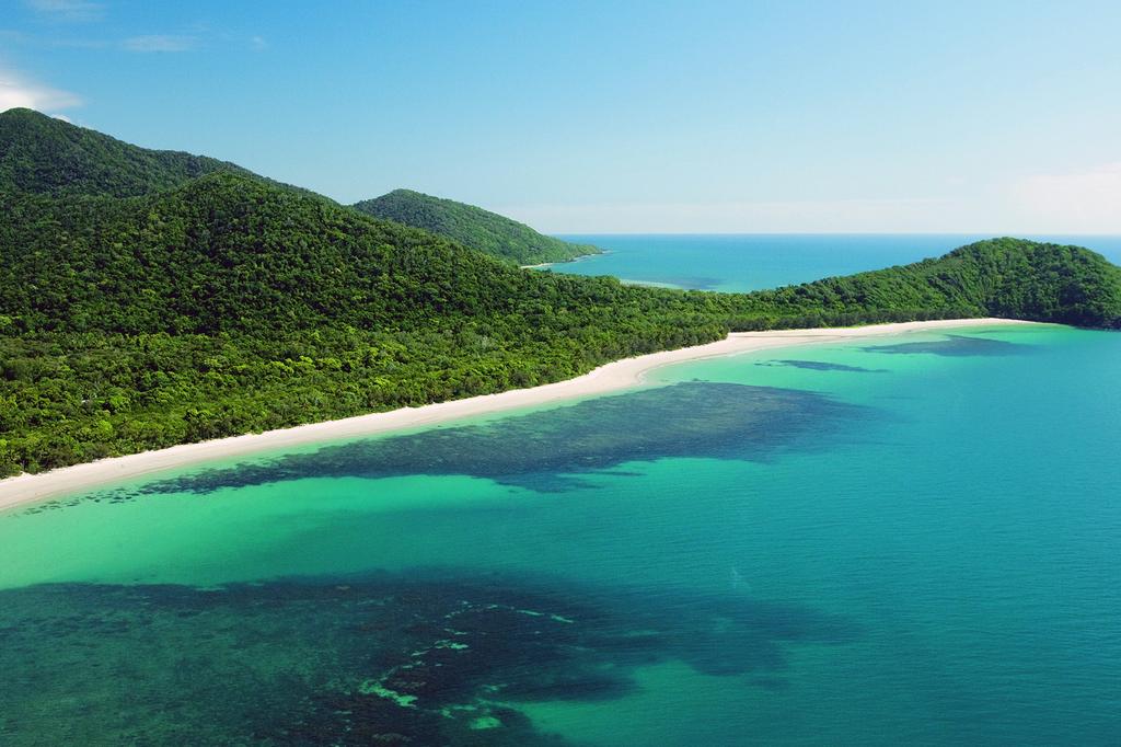 mist at Cape Tribulation image 1