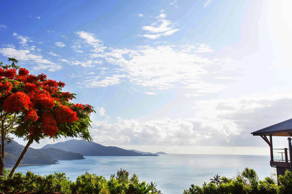 Reef View Hotel image 9