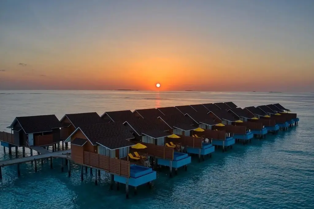Dhigufaru Island Resort image 10