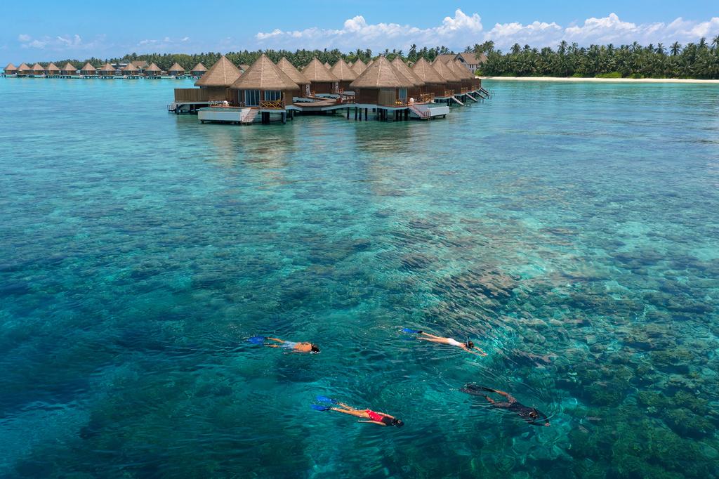 Mercure Maldives Kooddoo Resort image 7